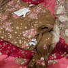 Ethnc botique 22500 - view 2