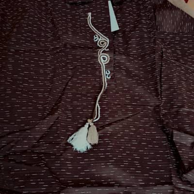 Ethnc Fresh brown shirt 
